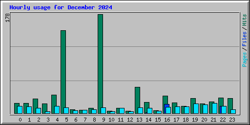 Hourly usage for December 2024